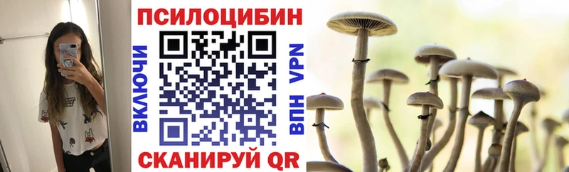 кракен зеркало  Дмитриев  Псилоцибиновые грибы Psilocybe  как найти закладки 