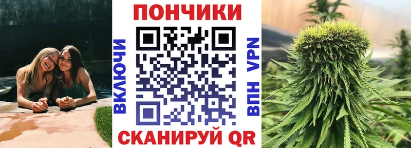 где найти   Дмитриев  Каннабис сатива 